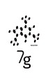 7gRoaster 7gRoaster